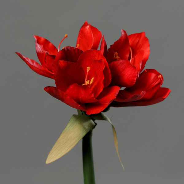 Kunstblume Amaryllis