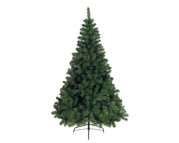 Tannenbaum IMPERIAL