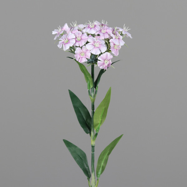 Kunstblume DIANTHUS