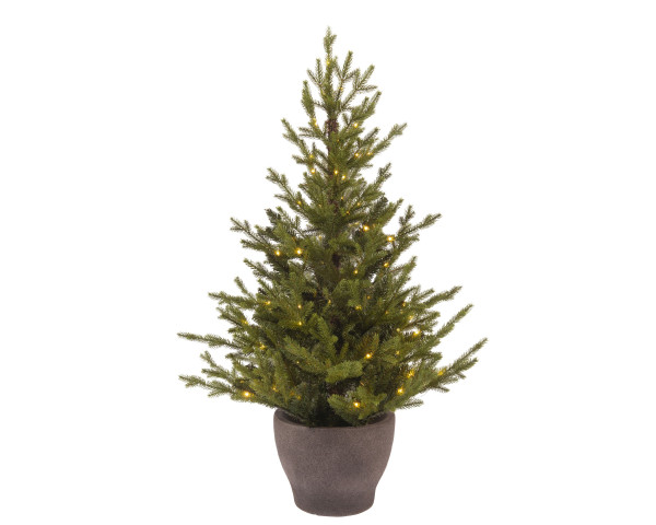 Tannenbaum LED