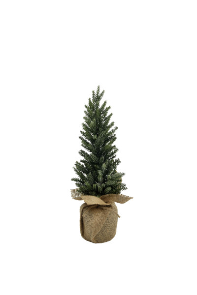 Tannenbaum