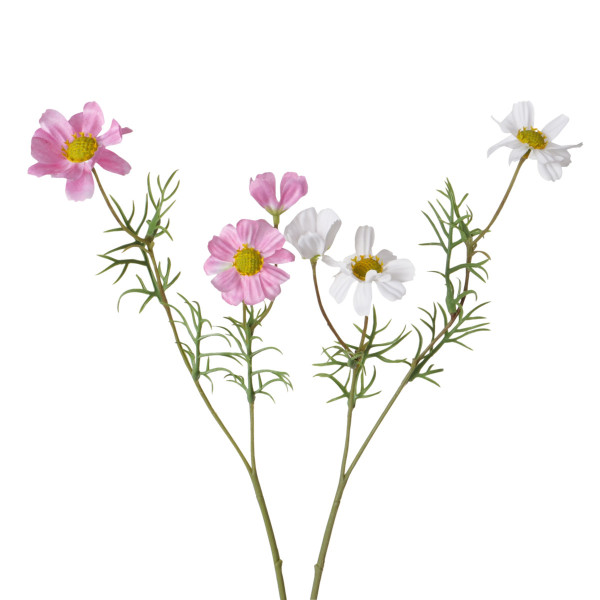 Kunstblume COSMEA