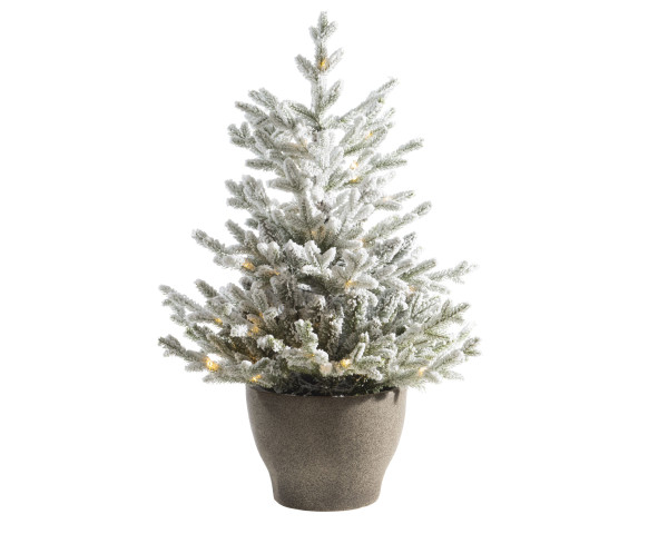 Tannenbaum LED