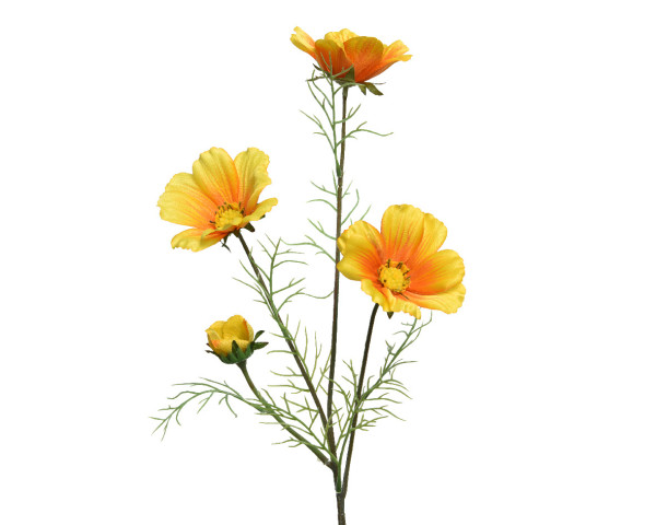 Kunstblume COREOPSIS