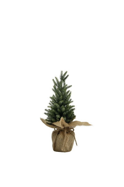 Tannenbaum