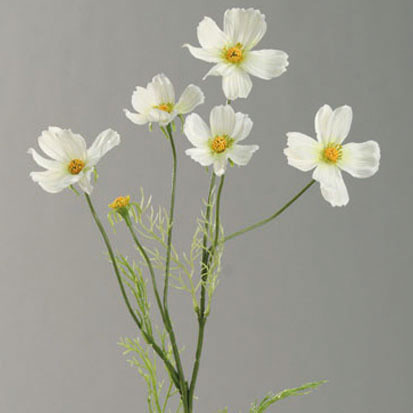 Kunstblume COSMEA