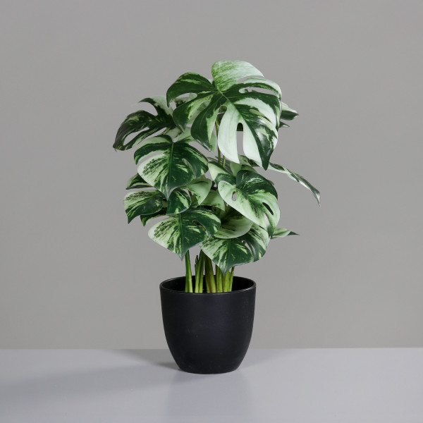 Kunstpflanze MONSTERA