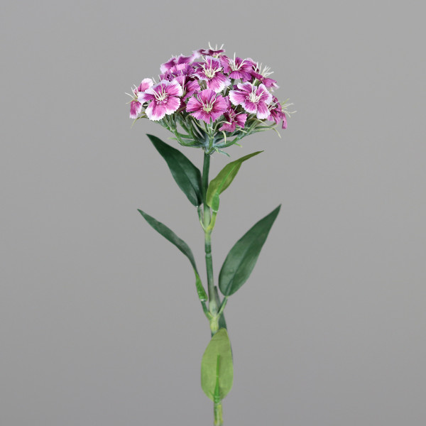 Kunstblume DIANTHUS