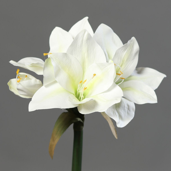 Kunstblume Amaryllis