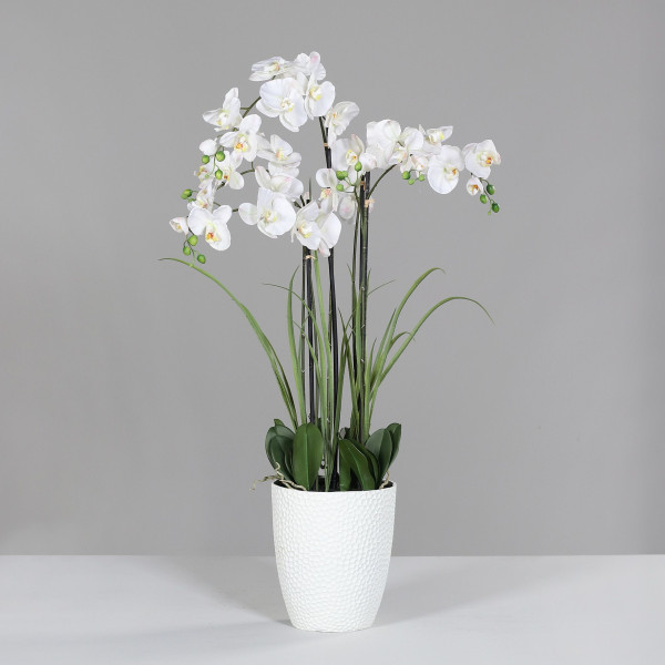 Kunstblume Orchidee