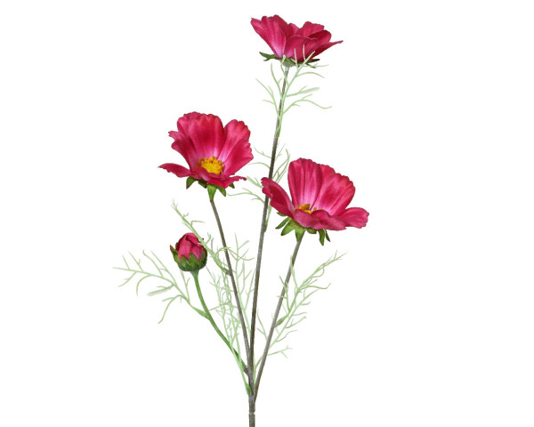 Kunstblume COREOPSIS