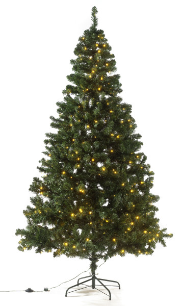 Tannenbaum mit Beleuchtung