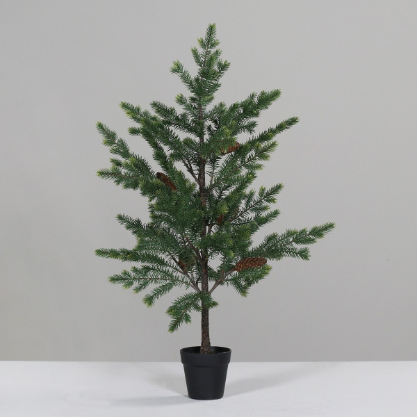 Tannenbaum